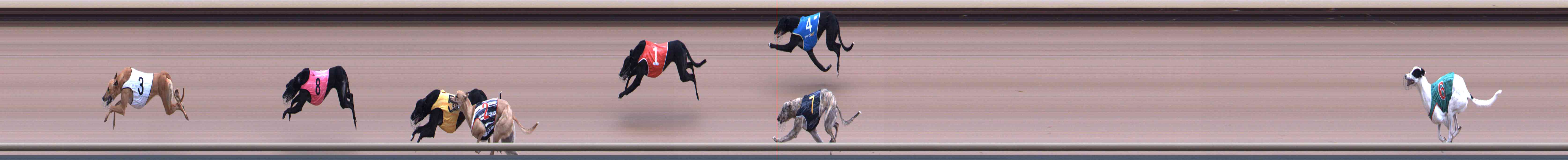 Race result finish photo